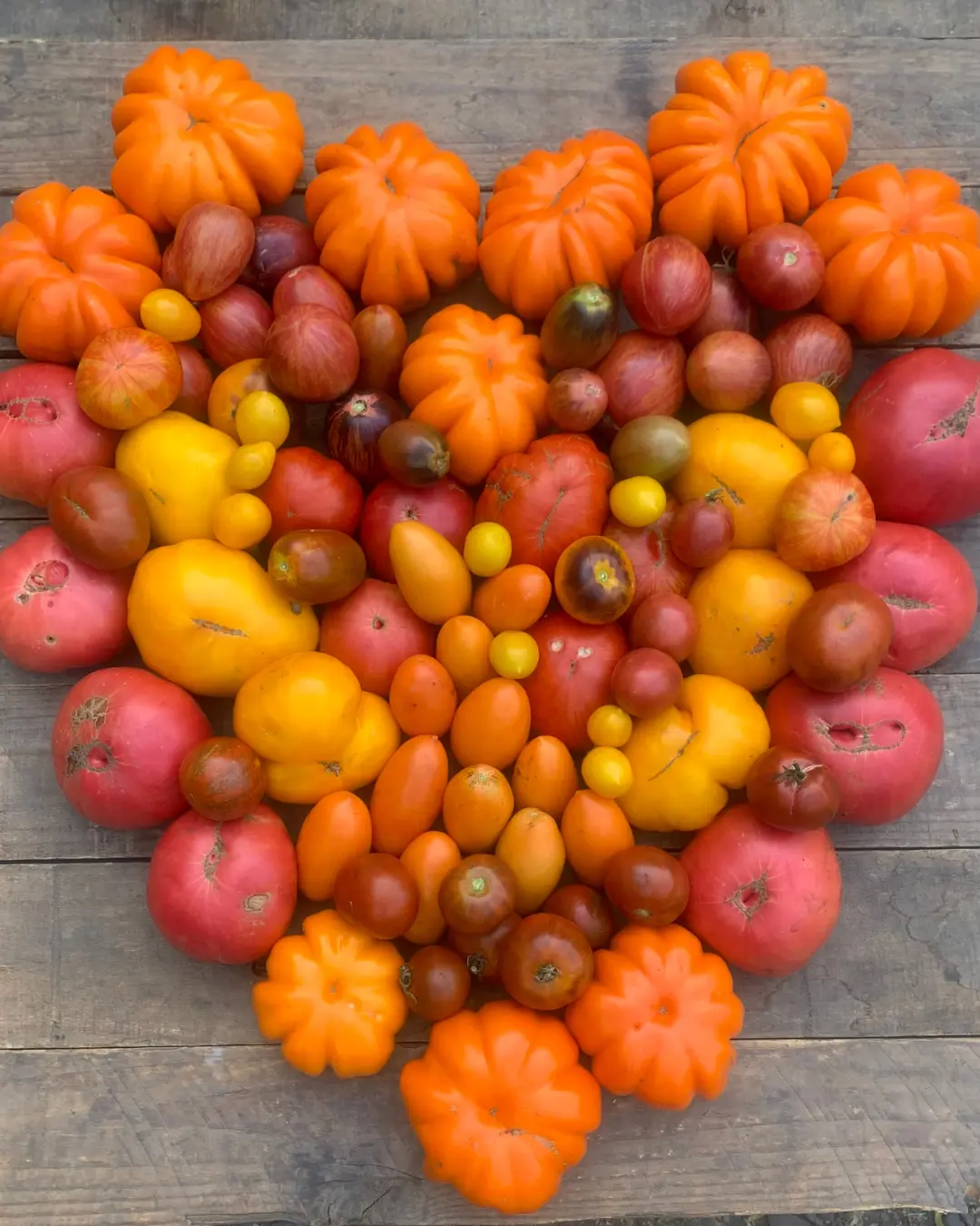 Corazón formado con tomates de colores